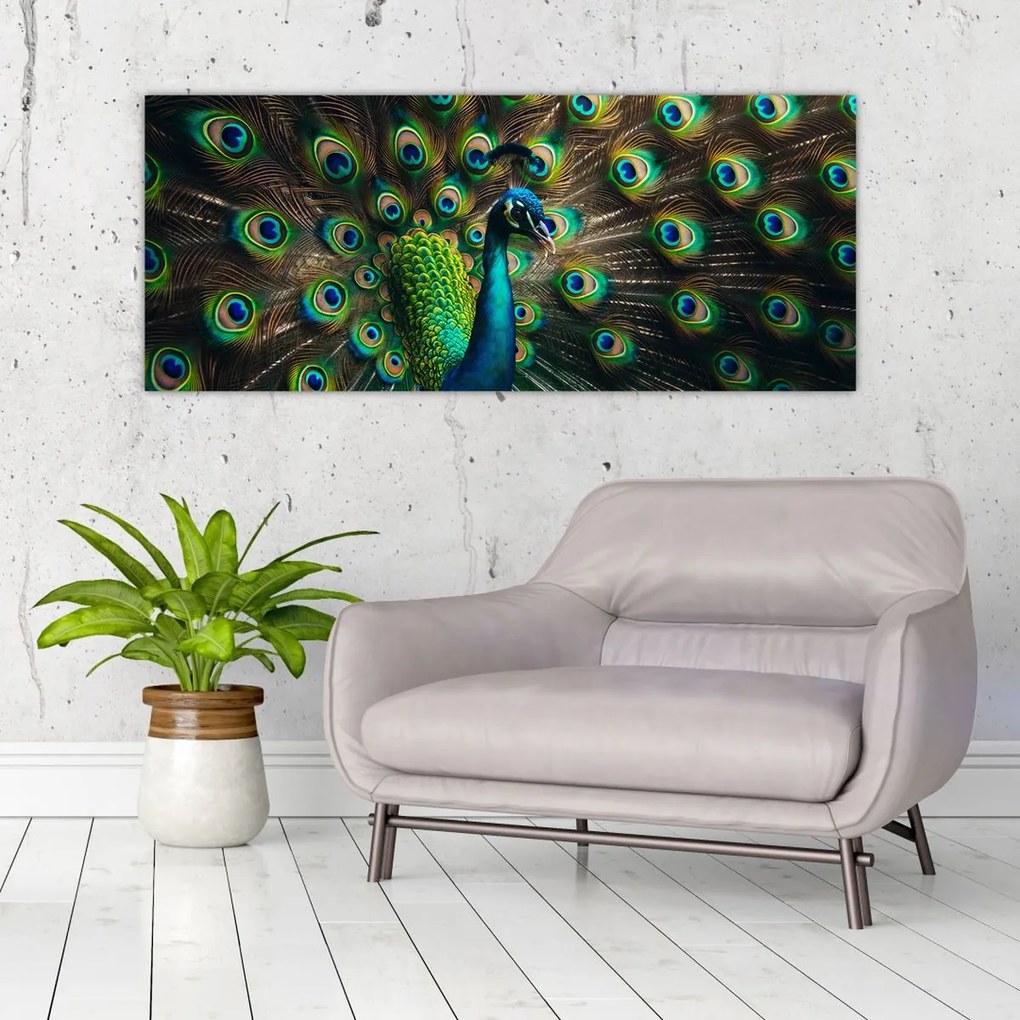 Kép – Pávatoll (120x50 cm)