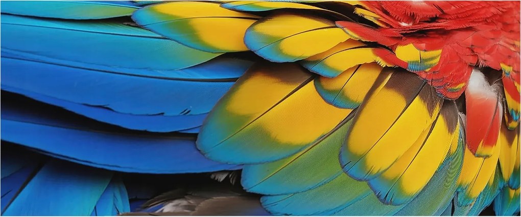 Fotótapéta Flizelin Dekoratív Iroda Szivárvány tollak 250x104 Ragasztó