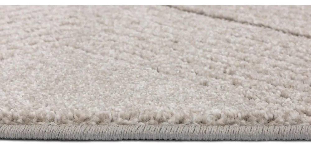 Krémszínű szőnyeg 240x330 cm Lori – FD