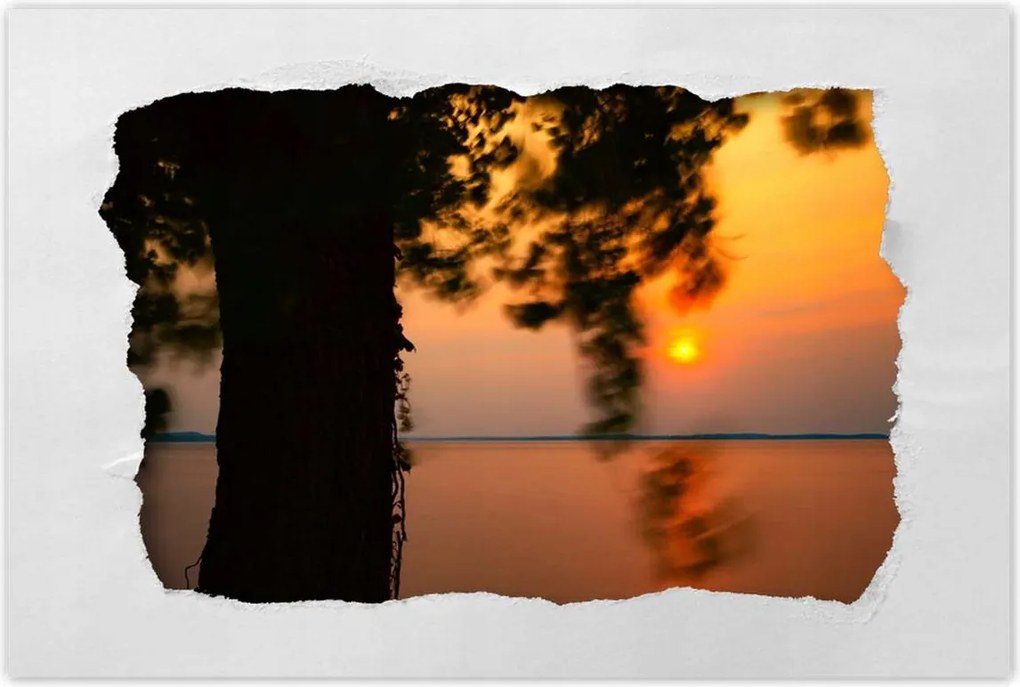 Poszterek 120x80 Fa Napnyugta