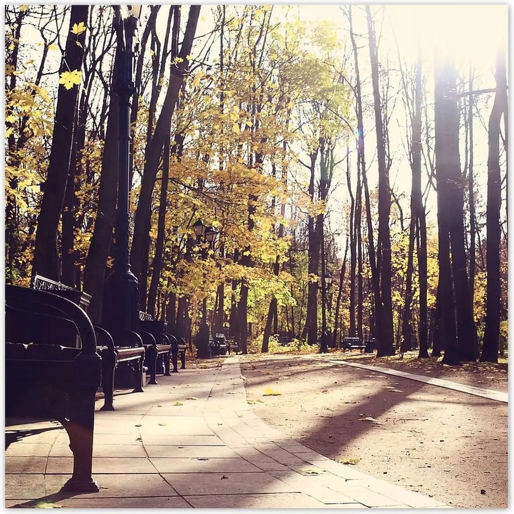 Poszterek 100x100 Városi park Tájkép