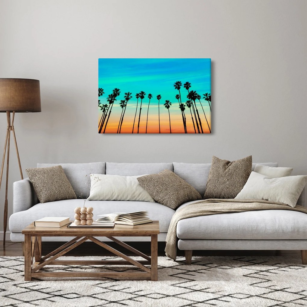 Kép - Kalifornia (90x60 cm)