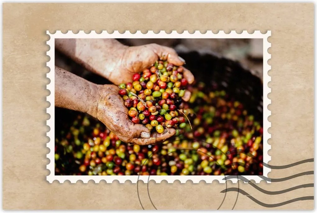 Poszterek 60x40 Kávé szett Kávé