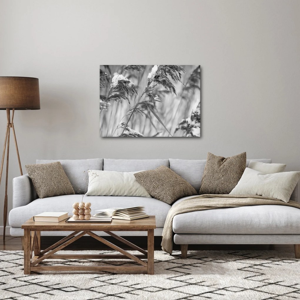 Kép - Lipnica, fekete-fehér (70x50 cm)
