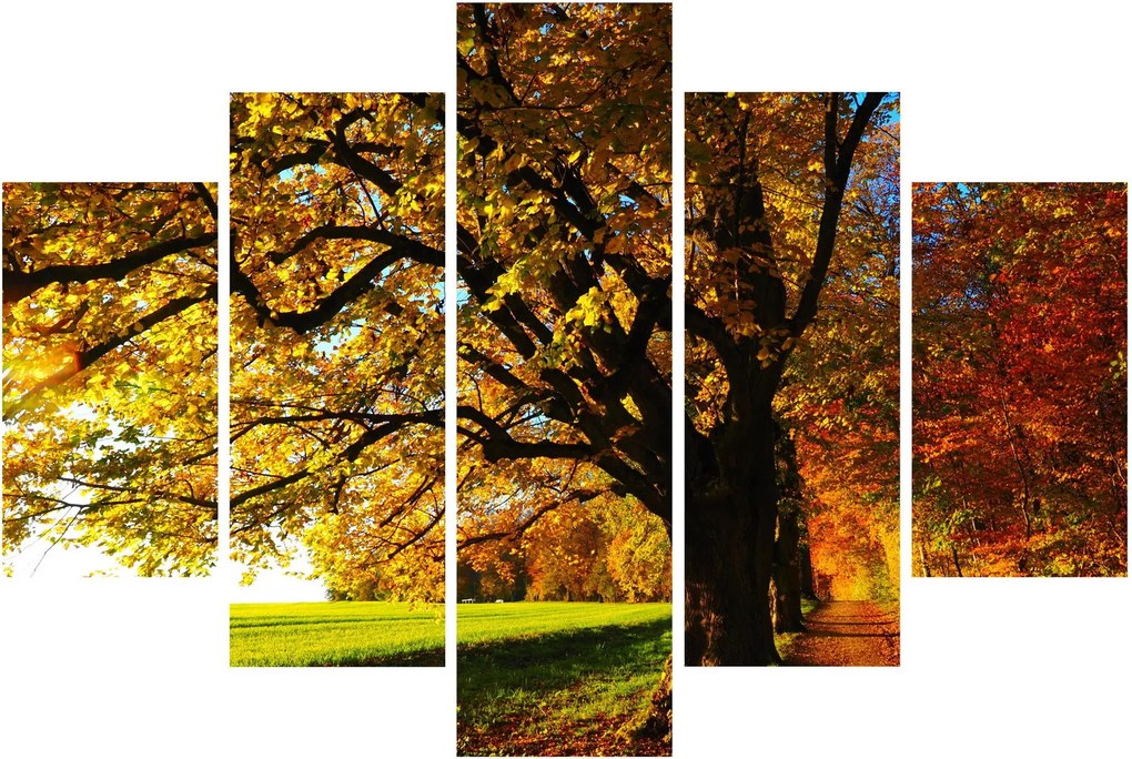 Az őszi kép (150x105 cm)
