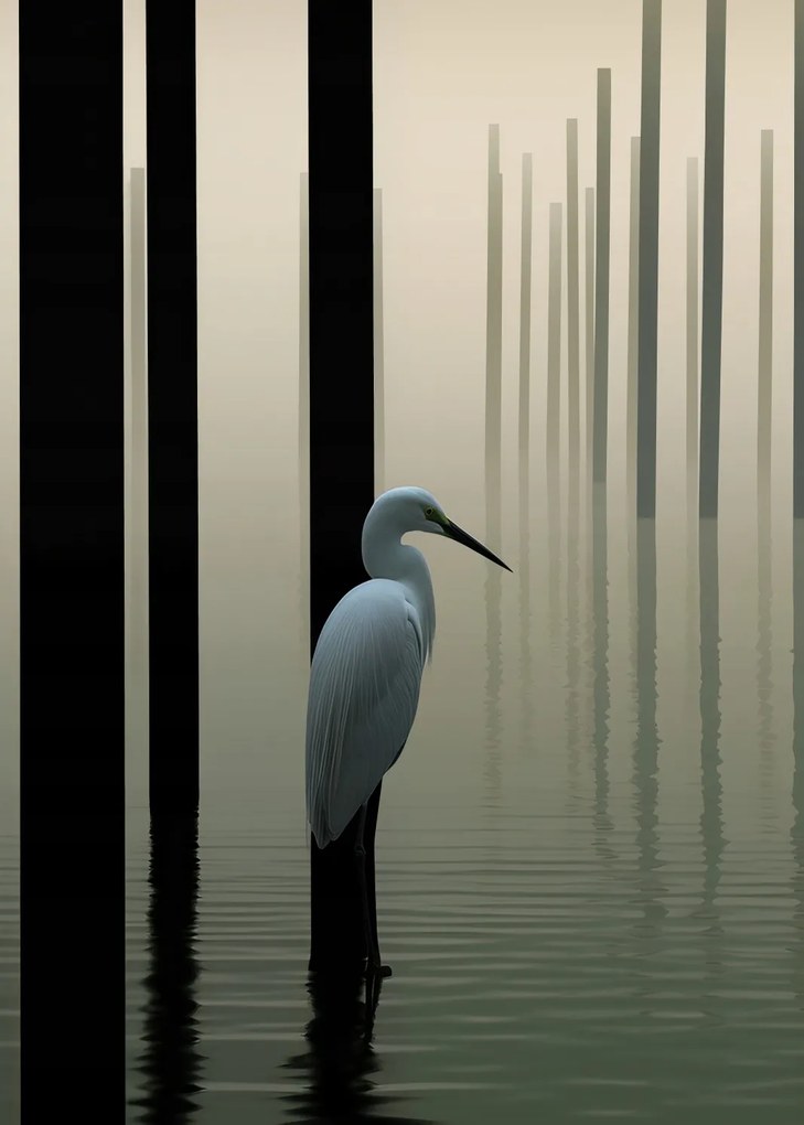 Poszter 25x35cm Köd a vízen