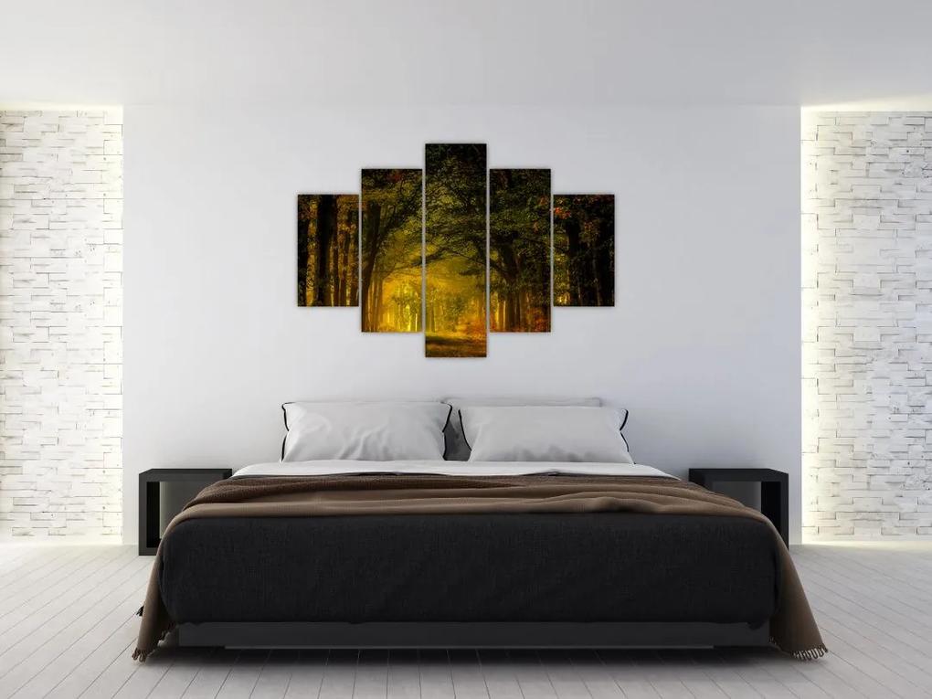 Erdő képe (150x105 cm)
