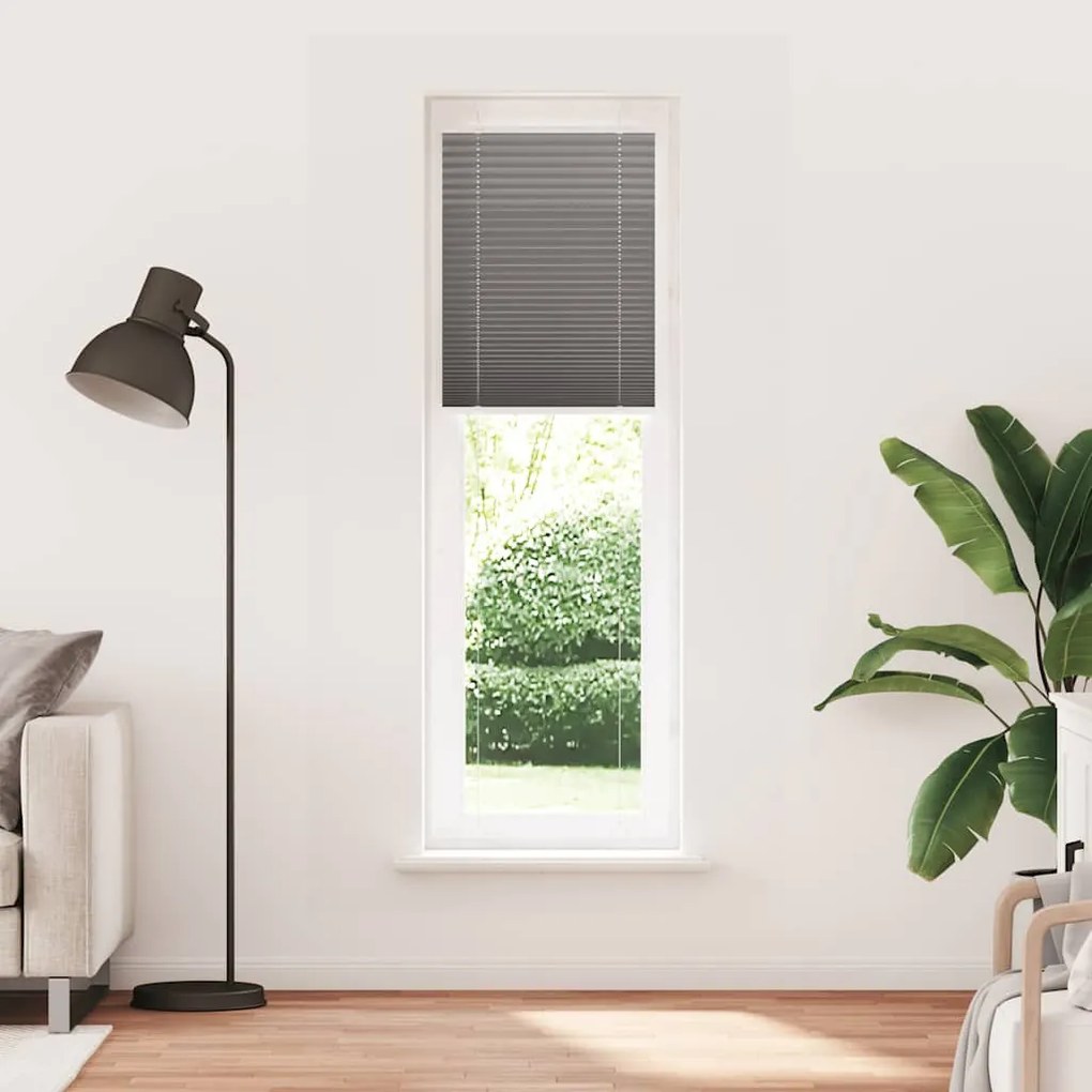pliszírozott redőny antracit 60x200 cm szövetszélesség 59,4 cm