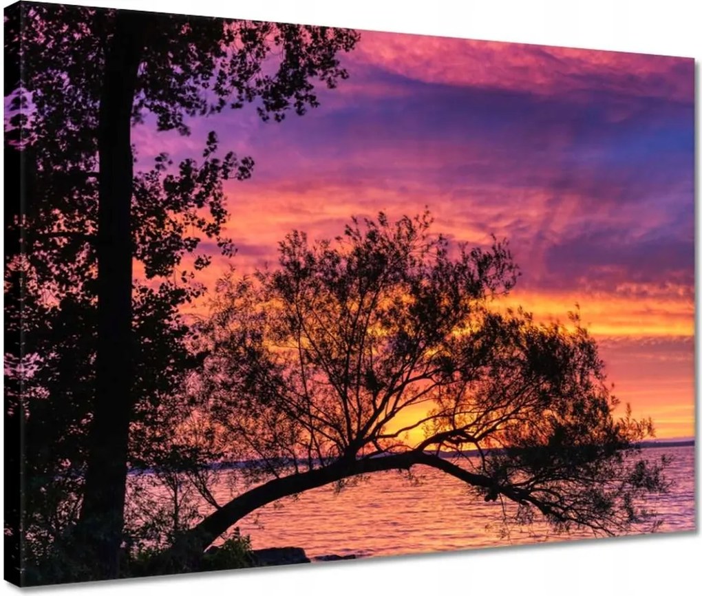 Vászonkép 40x30 Tó Fa Nyugat