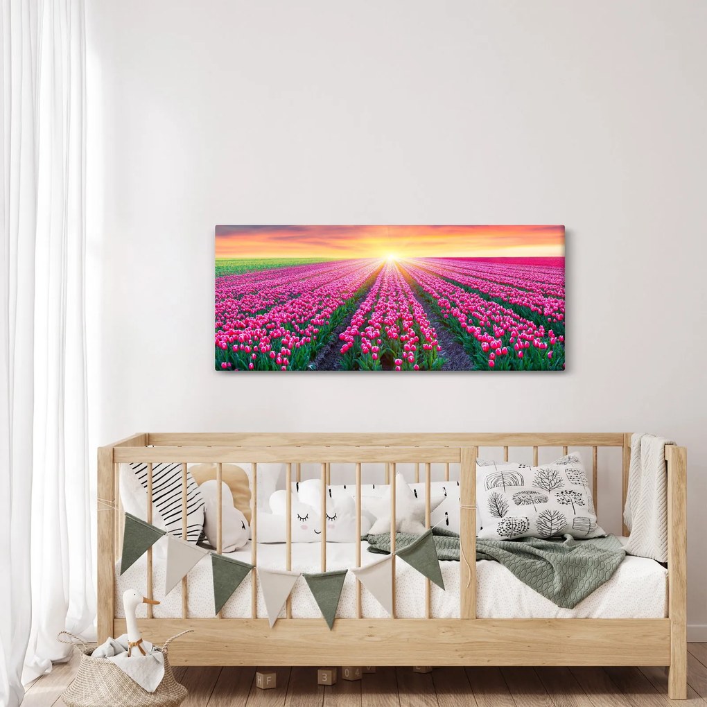 Tulipán mező és a nap képe (120x50 cm)
