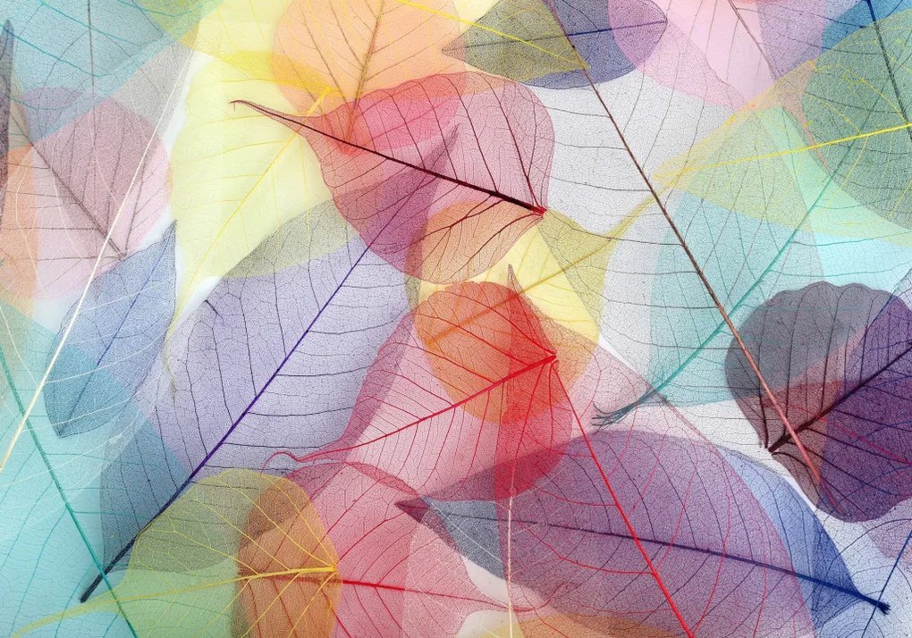 Fürdőszobaszőnyeg, 40×60 cm – CT-5260