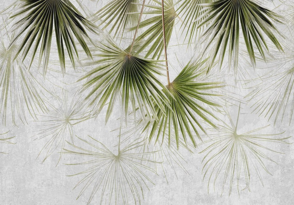 Fotótapéta Flizelin Levelek pálmalevelek gyönyörű növények ragasztó ingyen
