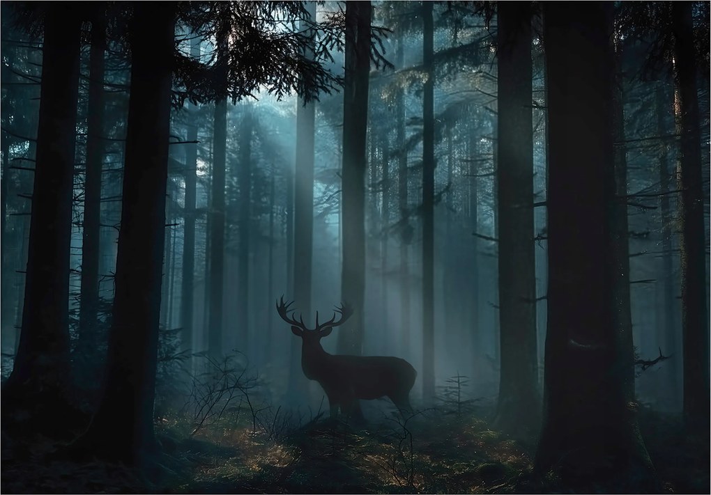 Fotótapéta Erdő Szarvas Állatok Hálószoba Nappali Tapéta Flizelina 250x175