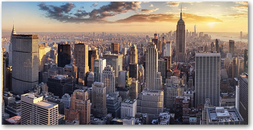 Fotó üvegkép New York madár repülés 140x70