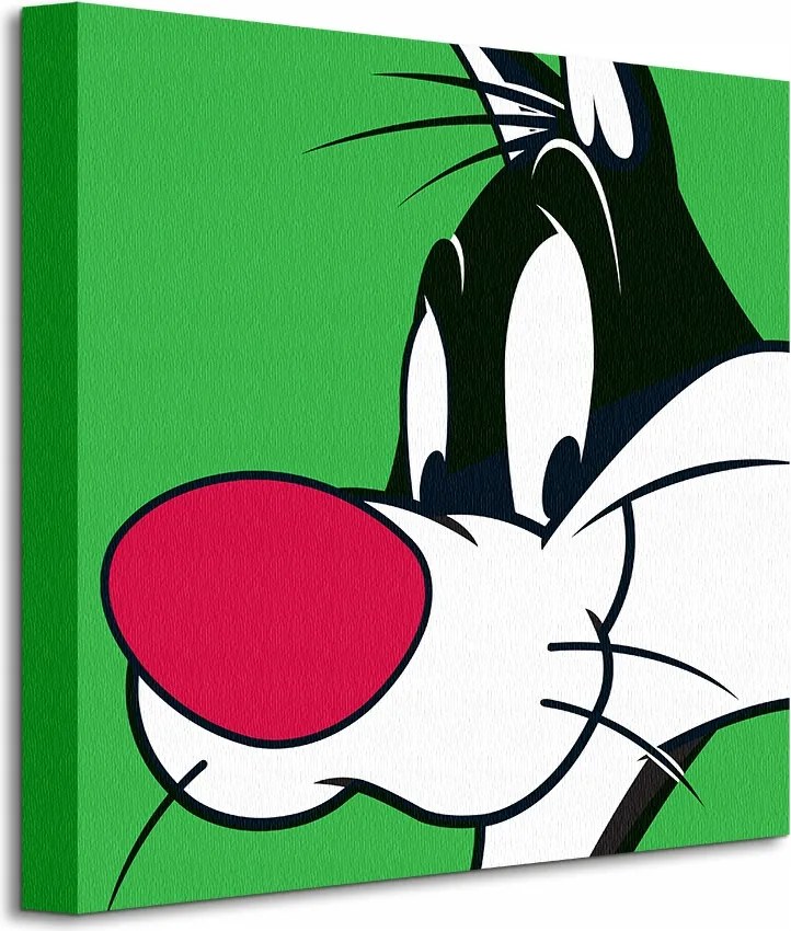 Looney Tunes Macska Szilveszter vászonkép 40x40