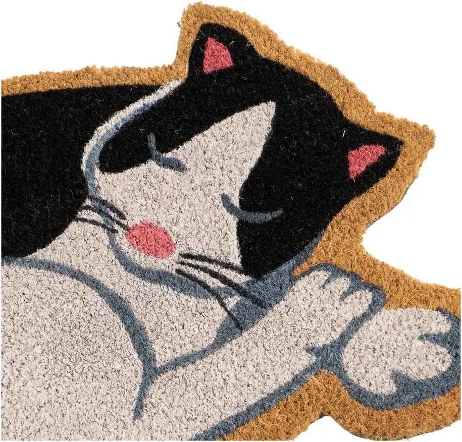 Kókuszrost lábtörlő 40x60 cm Cat – Casa Selección