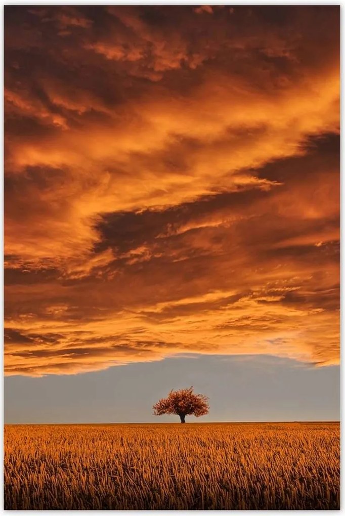 Poszterek 80x120 Narancssárga égbolt