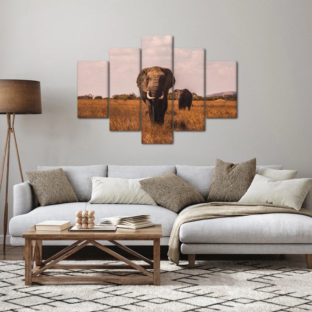 Kép - Az elefánt érkezése (150x105 cm)