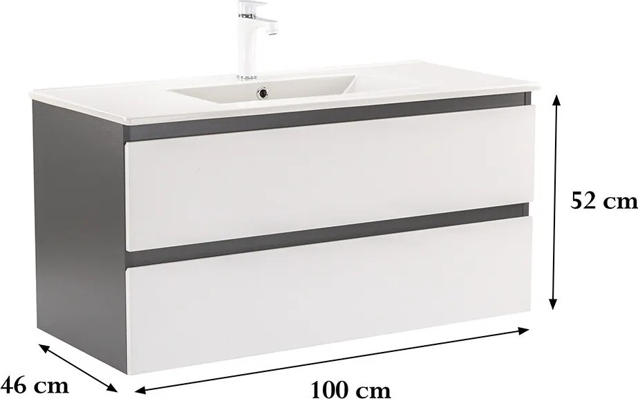 Vario Forte 100 Fürdőszoba alsó szekrény mosdóval