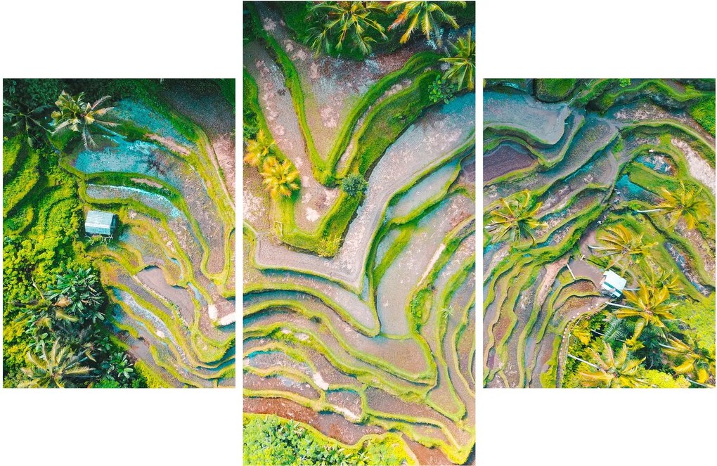 A rizsföldek képe madártávlatból (90x60 cm)