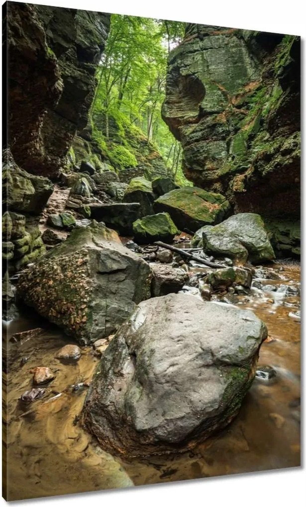 Vászonkép 70x100 Sziklák Folyó Hegyek