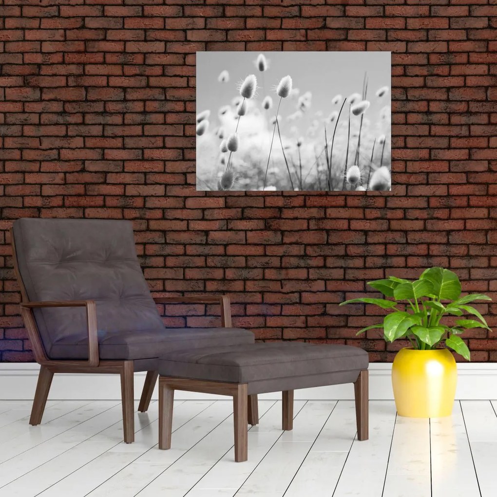 Kép - Boho nyuszi farok fű (70x50 cm)