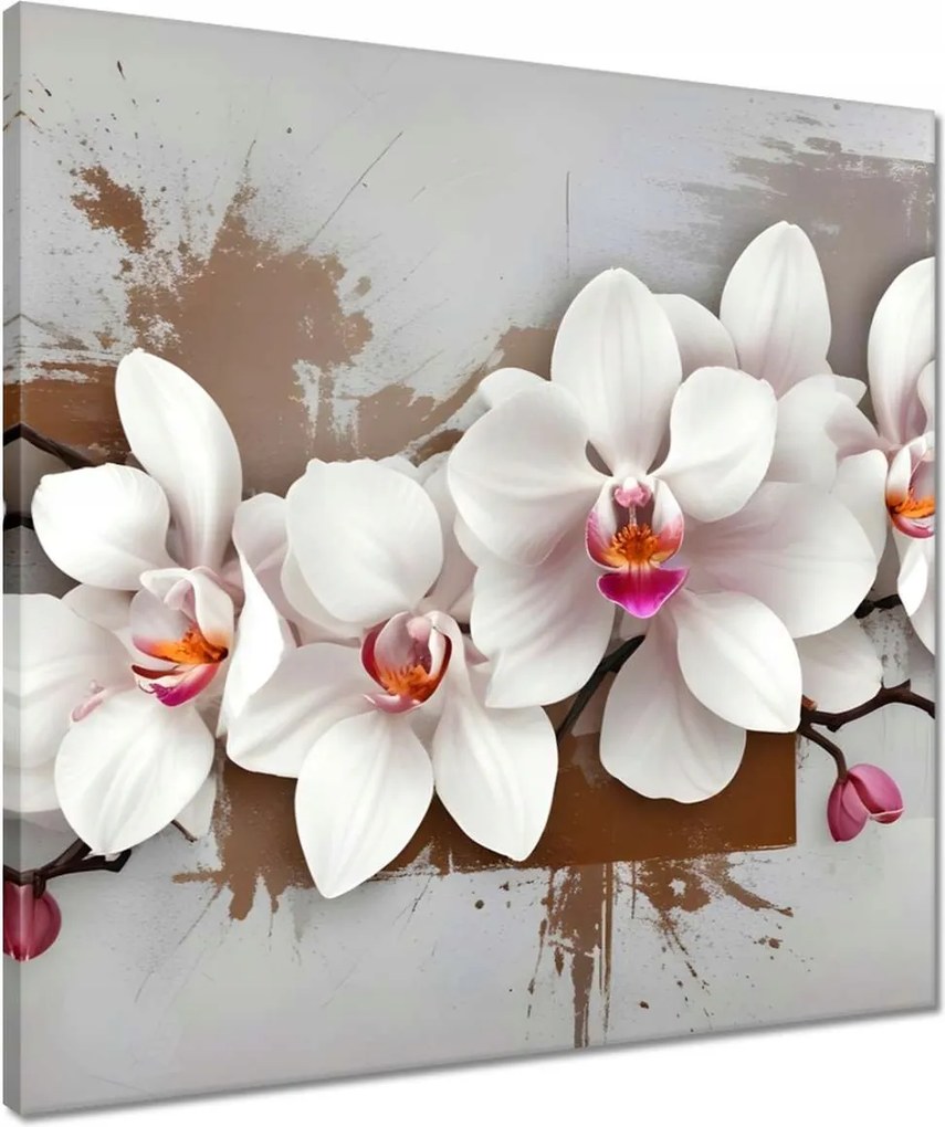 Vászonkép 50x50 Fehér orchidea