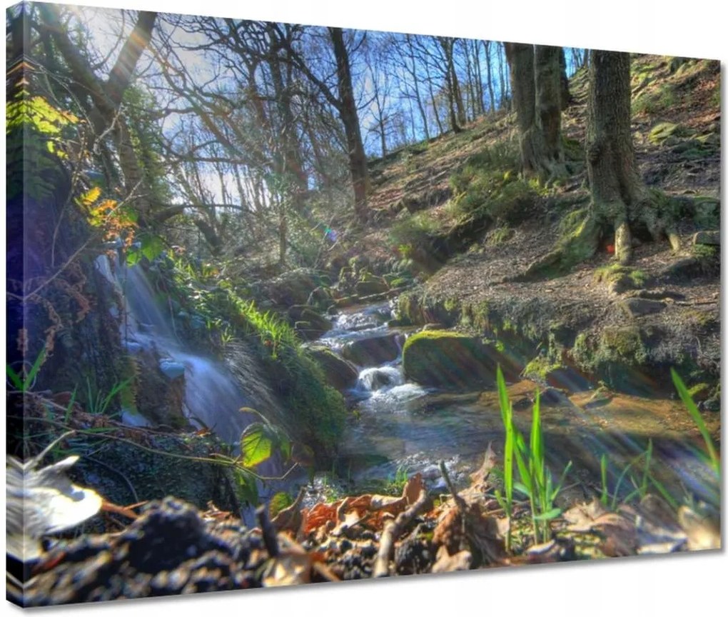 Vászonkép 40x30 Napfelkelte