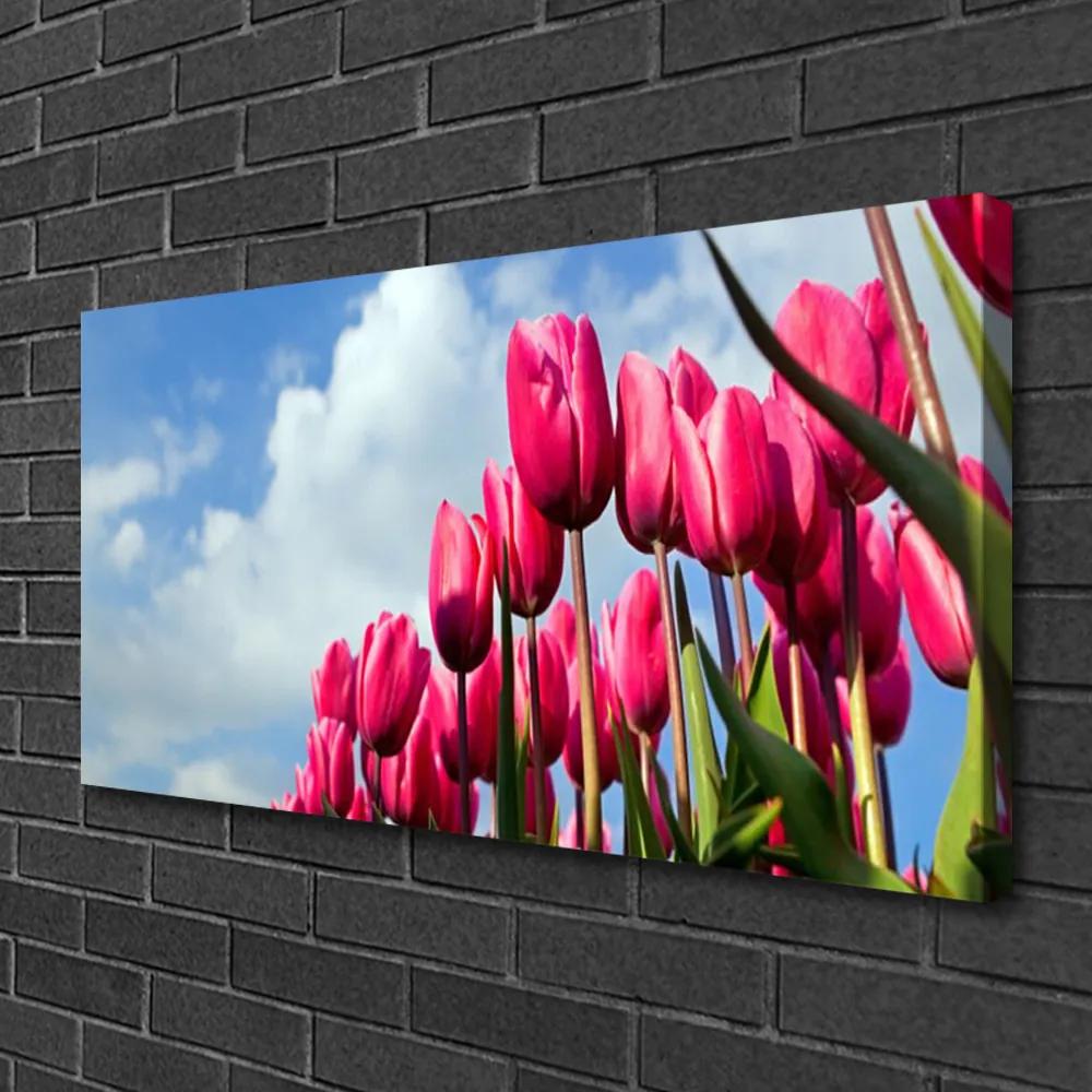 Vászonfotó Tulipán Fal 140x70 cm