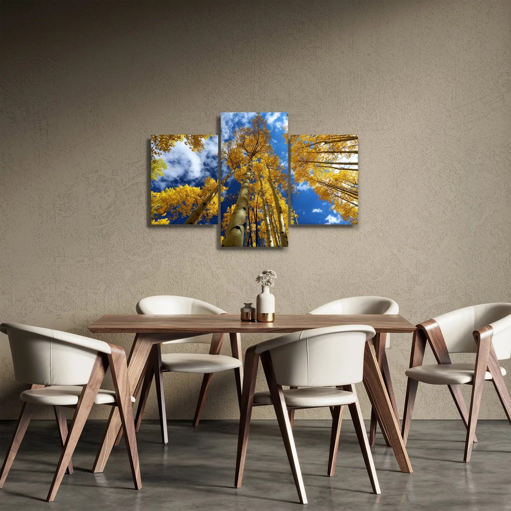 Kép - Aspen (90x60 cm)