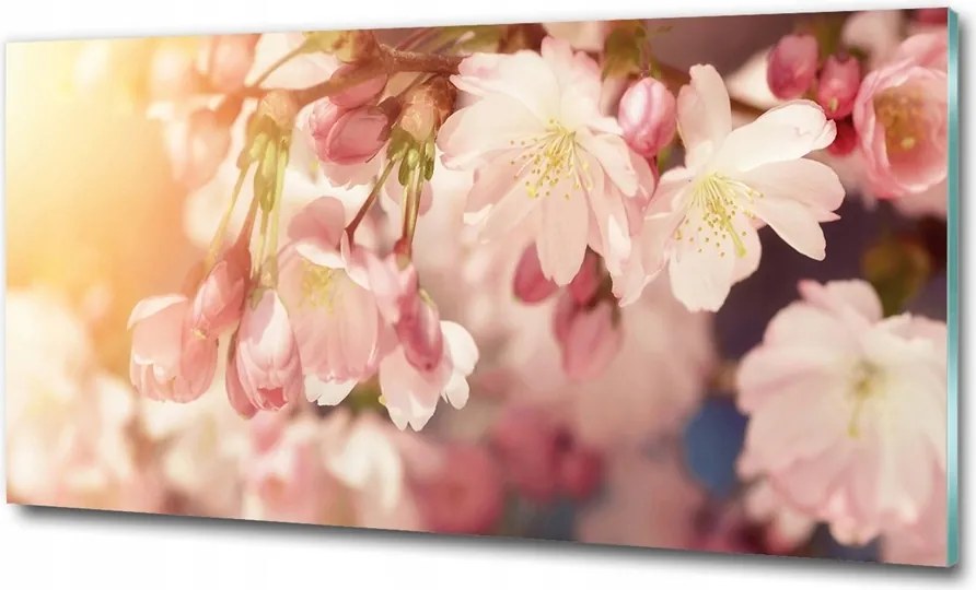 Fotótapéta falra edzett üveg Levendula 100x70