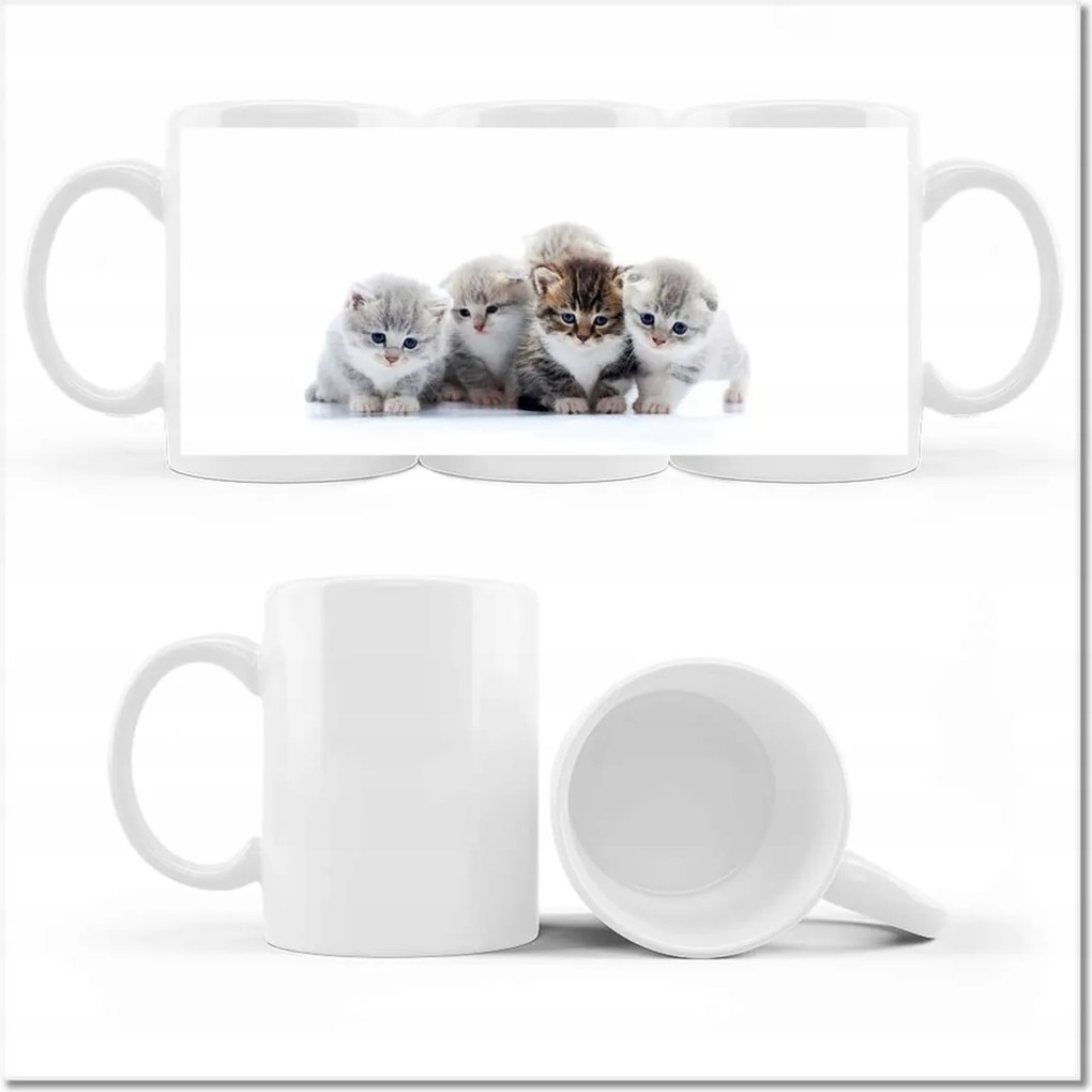 Cica fényképes bögre Cica