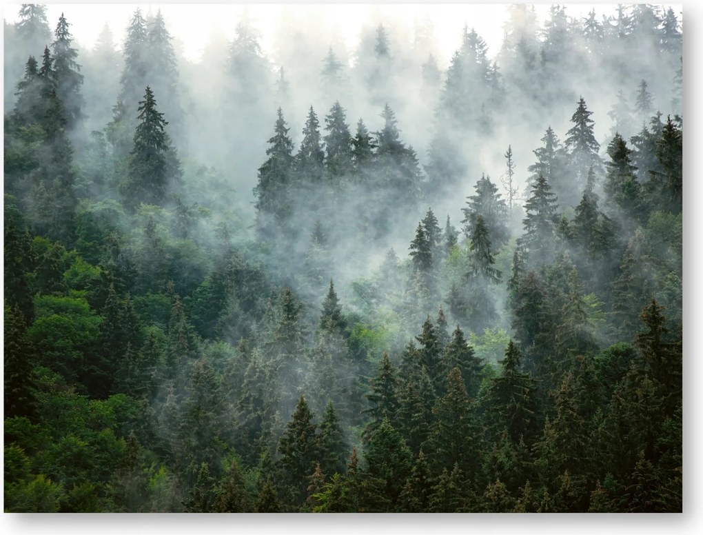 Erdő Köd poszter B1 100x70cm #105