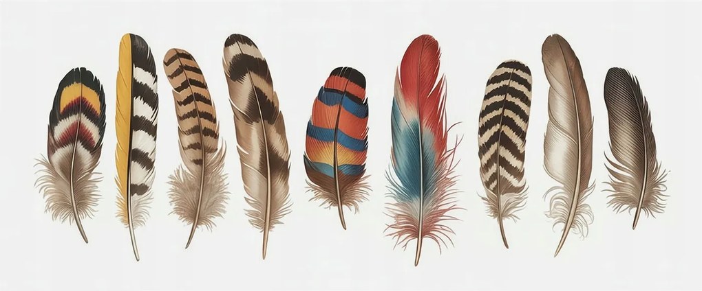 Fotótapéta Dekoratív Fali Tapéta Képek Színes tollak 250x104