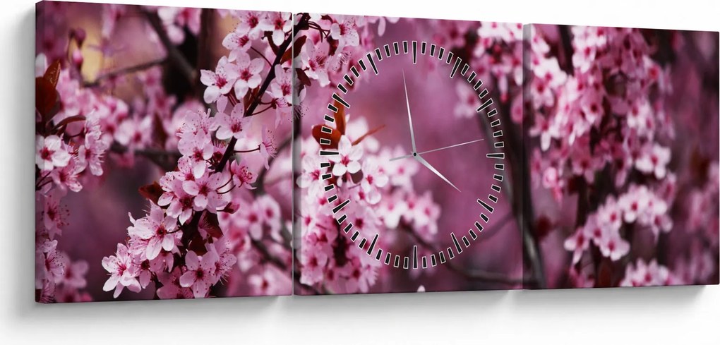 Kép - Rózsaszín sakura (órával) (90x30 cm)