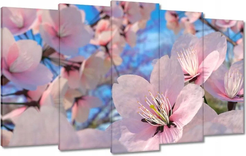 Vászonkép 100x60 Gyönyörű virágok