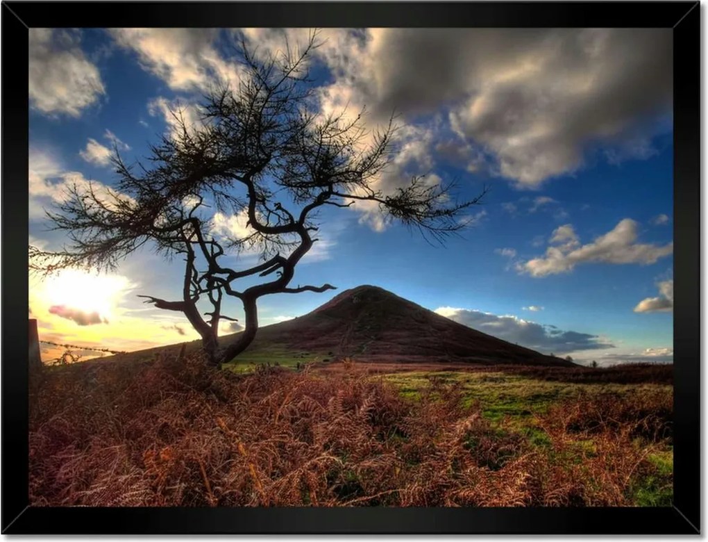 Poszterek keretben 40x30 Fa