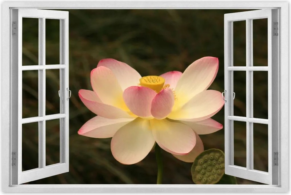 Poszterek 90x60 Lótusz Lótuszvirág