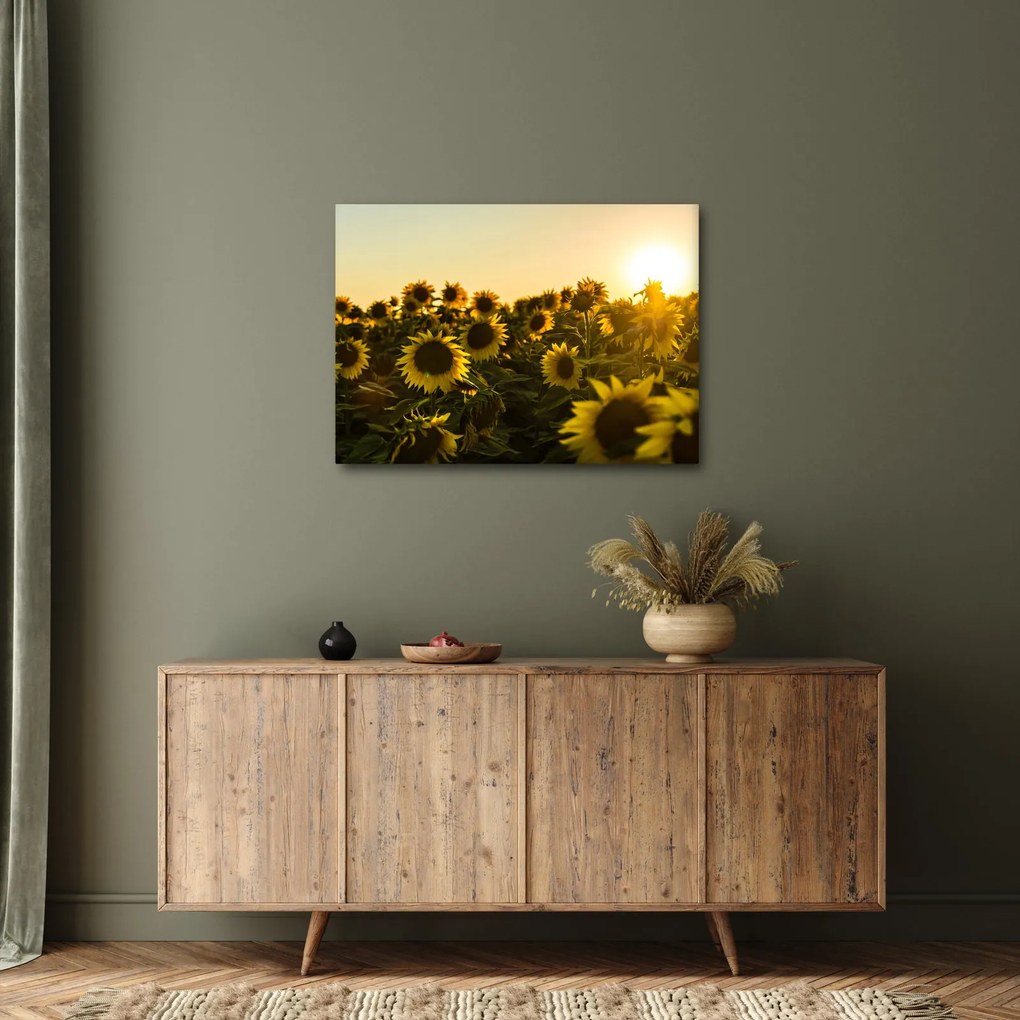 A napraforgó mező képe (70x50 cm)