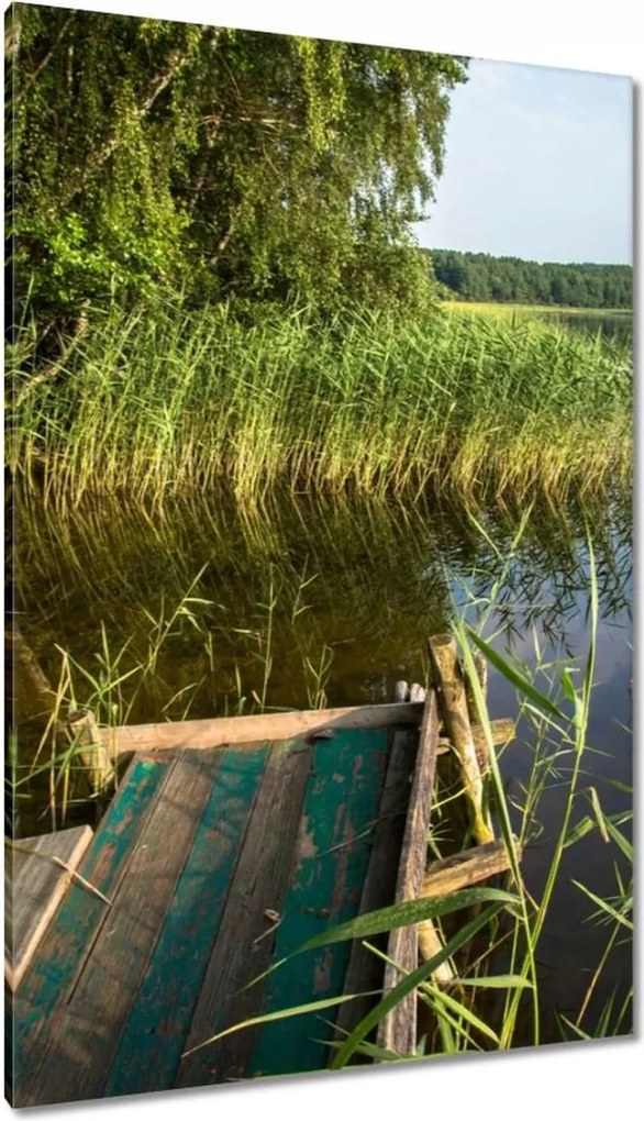 Vászonkép 80x120 Szúnyogok