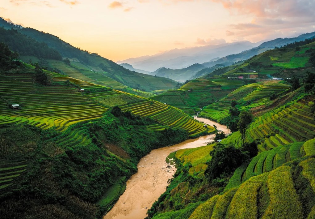 Fotótapéta - Mu Cang Chai rizsföld (147x102 cm)