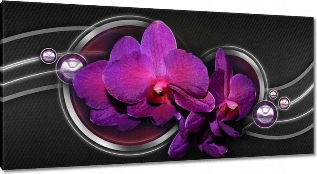 Vászonkép 115x55 Lila leander