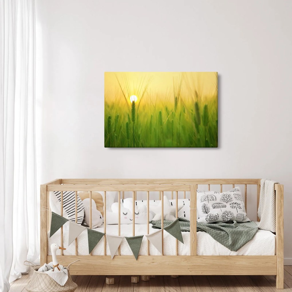 Kép - Mező gabonával (90x60 cm)