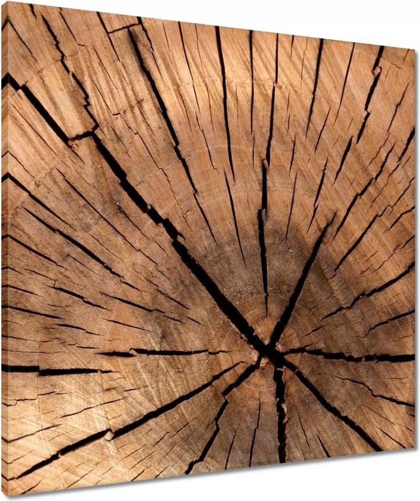 Vászonkép 60x60 Befőttesüvegek