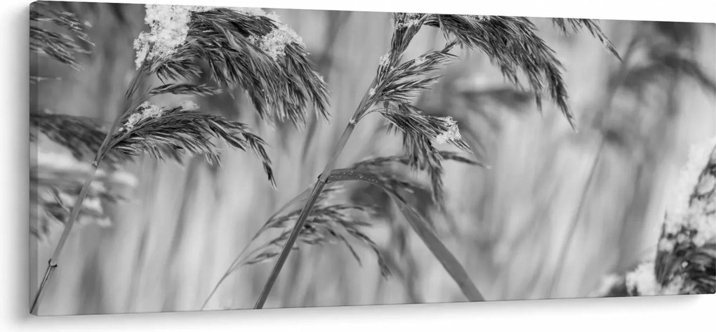 Kép - Lipnica, fekete-fehér (120x50 cm)