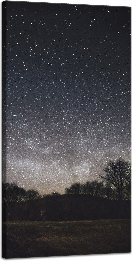Vászonkép Kozmosz Csillagos égbolt 40x80