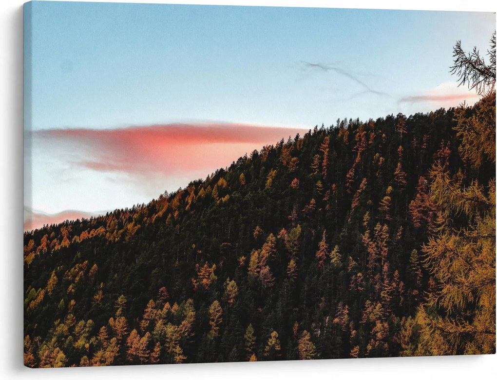 Kép a domb fölött (70x50 cm)
