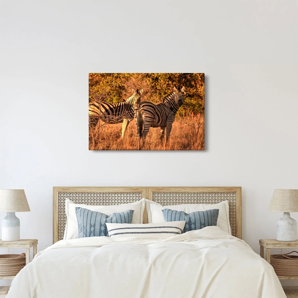 Zebrák képe (90x60 cm)