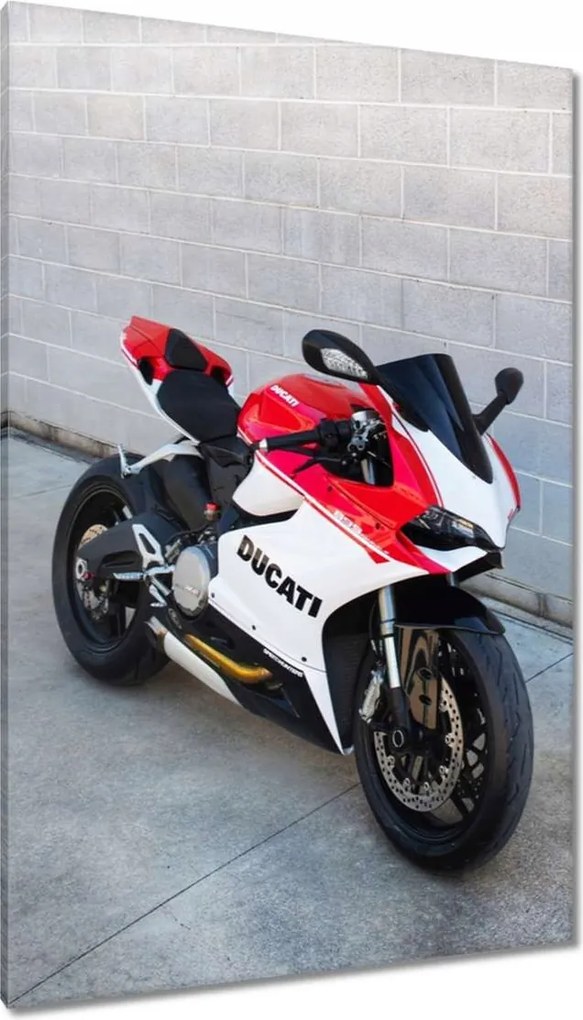 Vászonkép 80x120 Piros Ducati Panigale