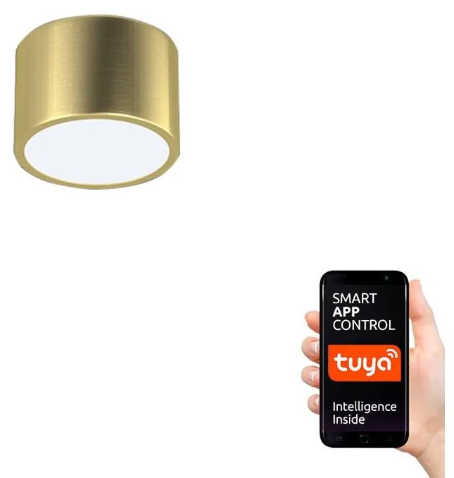 Immax Neo Immax Neo 07127L - LED Dimmelhető mennyezeti lámpa RONDATE LED/12W/230V Tuya IM0694